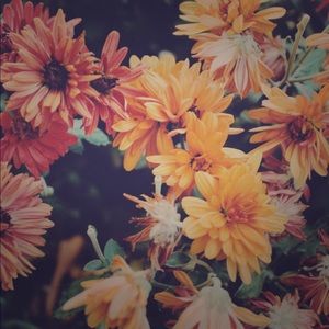 Meet your Posher, Whitney